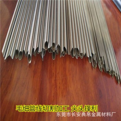 定制不锈钢钢针美容微细针0.15*6超细医疗耗材304 316L 0.2*25MM