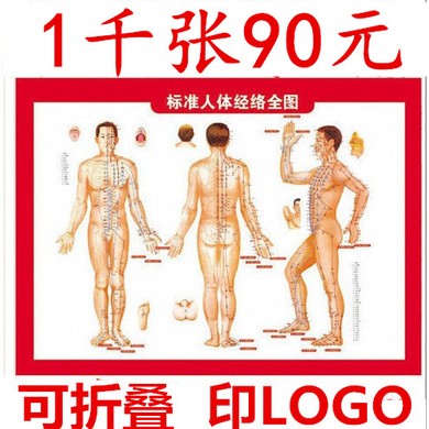 批发人体艾灸穴位图艾灸图人体经络穴位图可折叠