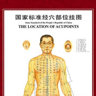 赤峰蒙泰医疗器械有限公司穴位图