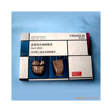 多层色合成树脂牙 0000