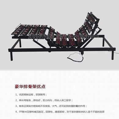 河北普康家居电动床卧室单双人电动床