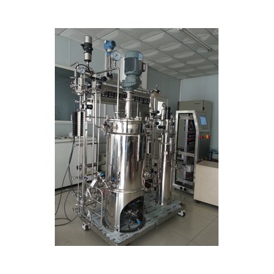 10-50L智能型二级发酵罐