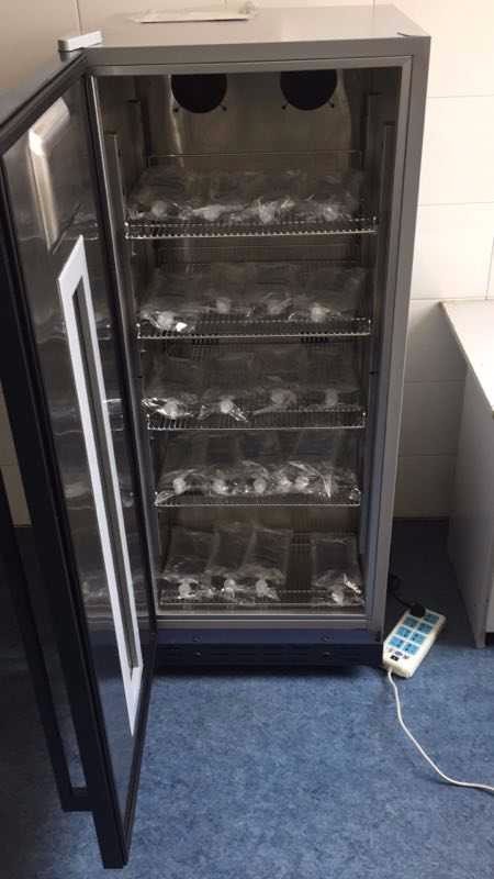 医疗恒温箱,温度范围:0℃-50℃
