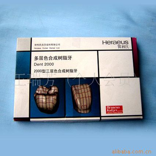 多层色合成树脂牙 0000