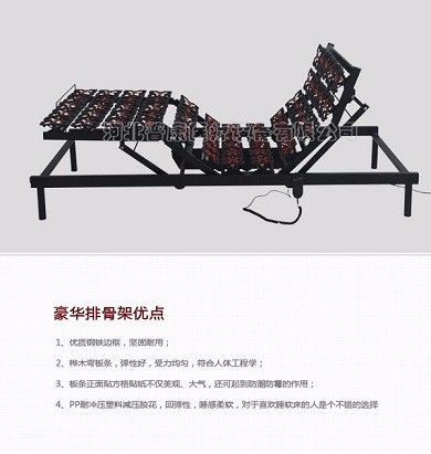 河北普康家居电动床卧室单双人电动床