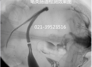 惊喜特价  手提便携式x光机/低剂量x光机/无损检测仪器