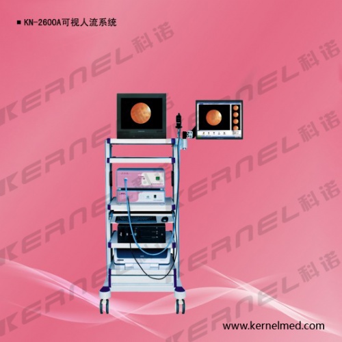 可视人流系统（KN-2600A）
