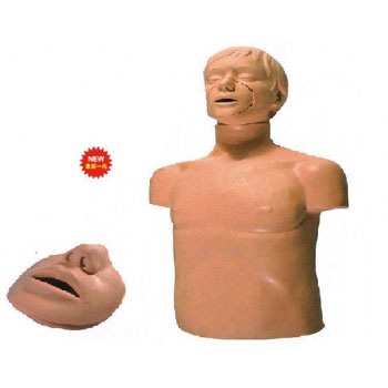 半身心肺复苏训练模拟人