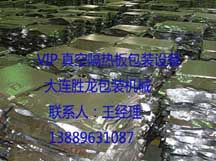VIP真空隔热板包装设备/VIP真空绝热板包装机