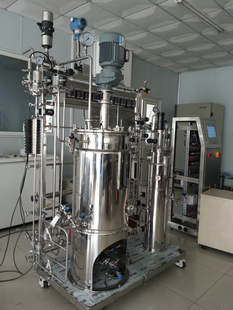 10-50L智能型二级发酵罐