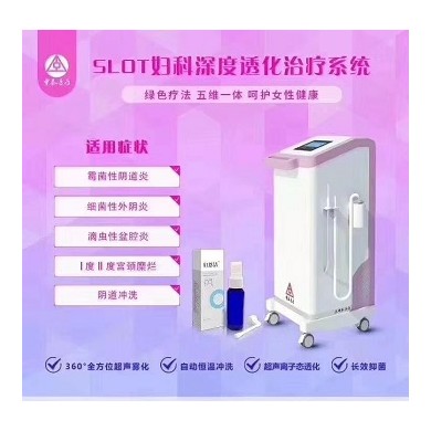 医用臭氧治疗仪