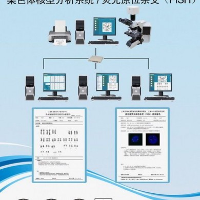 染色体核型分析系统