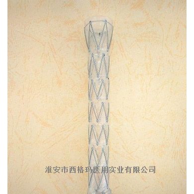 CZES覆膜食管支架