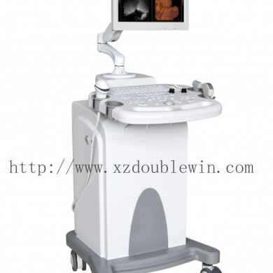 SH2300