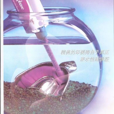 登士柏硅橡胶印模材