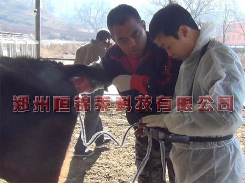 高清牛用B超测孕仪