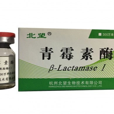 青霉素酶