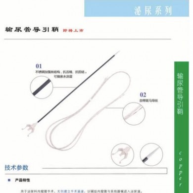 一次性使用输尿管软镜导入鞘