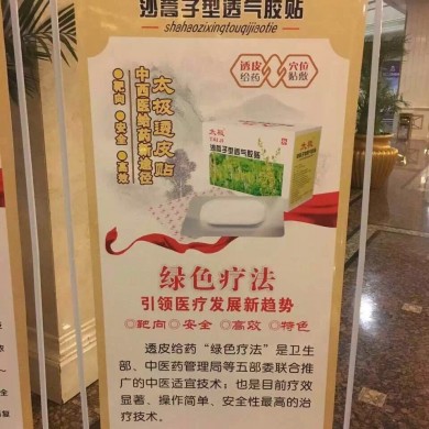 太极沙蒿子透气胶贴