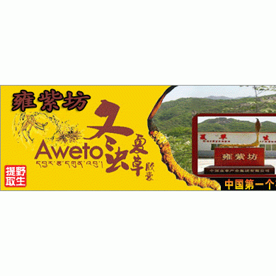 雍紫坊冬虫夏草胶囊