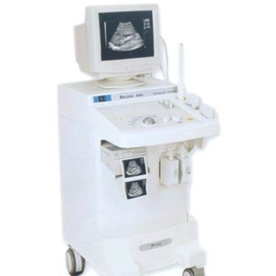 BELSON 256C