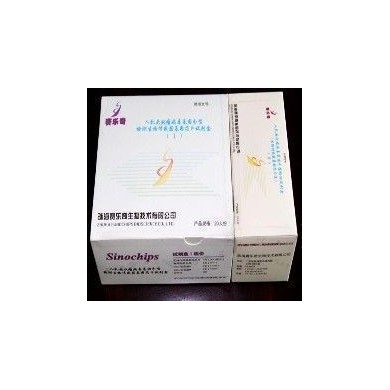 HPV基因分型检测诊断试剂