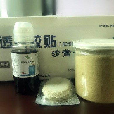 沙蒿子型透气胶贴