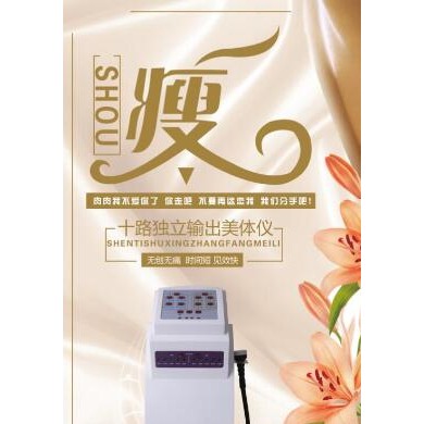 十路独立输出美体仪