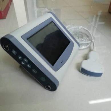 便携B超机