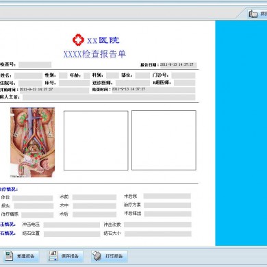 碎石工作站|碎石报告工作站