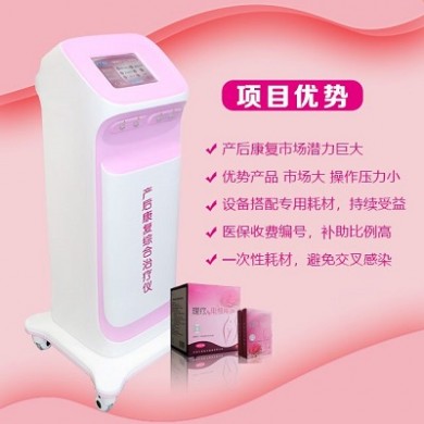 (产品招商)产后康复综合治疗仪  产后恢复治疗仪 产康治疗仪 产后催乳仪_简介