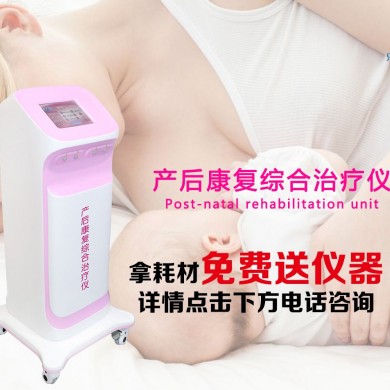 (产品招商)产后康复治疗仪 产后康复综合治疗仪 产后治疗仪 产后恢复治疗仪_简介