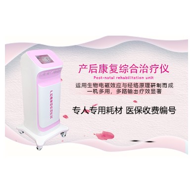(产品招商)产后康复治疗仪_简介