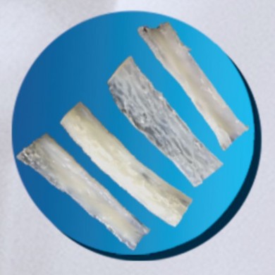 (产品招商)人工骨_简介