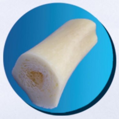 (产品招商)冻干皮松质骨段_简介