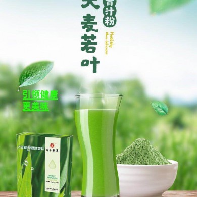 大麦苗粉固体饮料_简介