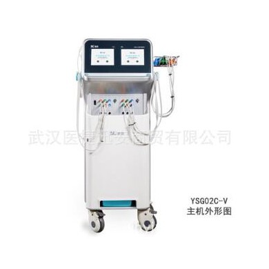 思雅YSG02C-V 干涉波疼痛治疗仪_简介