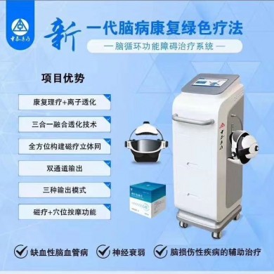 脑循环功能障碍治疗仪_简介