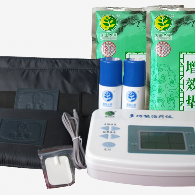中药提速治疗仪_简介