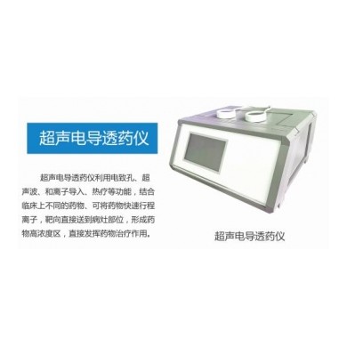 超声电导透药仪,超声透药项目仪_简介