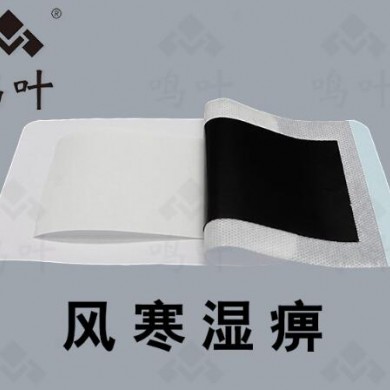 风寒湿痹贴_简介
