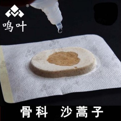 骨科沙蒿子_简介