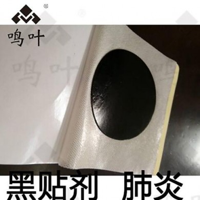 朱氏堂鸣叶黑贴剂肺炎贴_简介