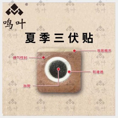 三伏贴_简介