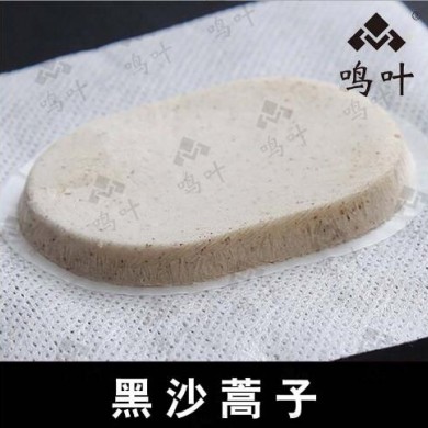 黑沙蒿子_简介
