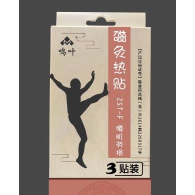 磁灸热贴-腰肌劳损_简介