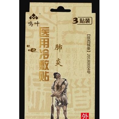 医用冷敷-肺炎3贴装_简介