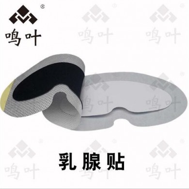 乳腺贴2_简介