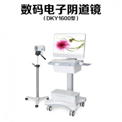 数码电子阴道镜,高清阴道镜,数字阴道镜_简介