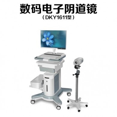 数码电子阴道镜,高清阴道镜,数字阴道镜_简介